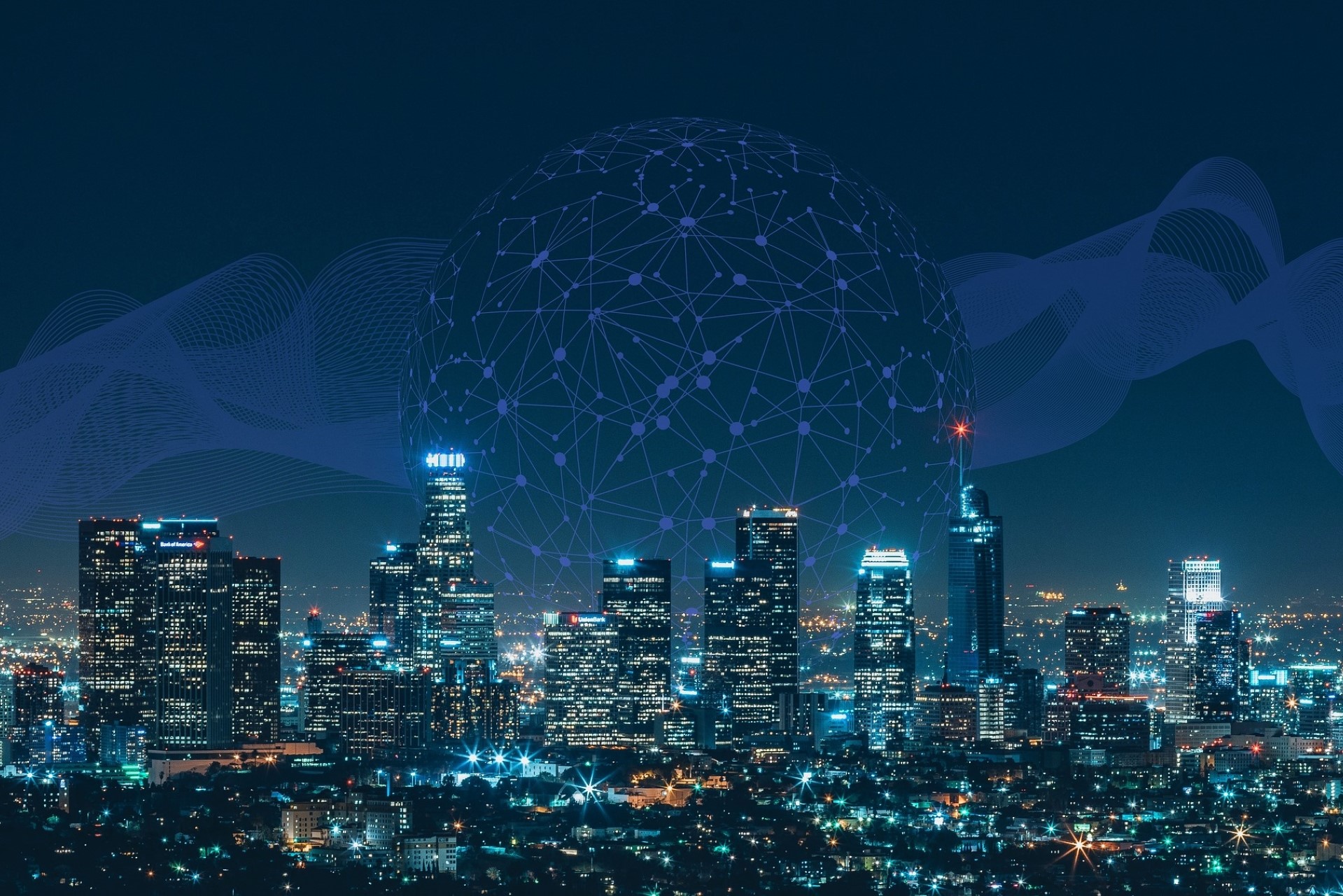
              Data Discovery            